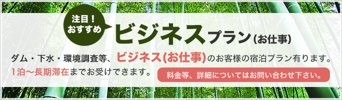 ビジネスプラン